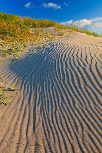 Písečné duny s přilbou trávy — Stock fotografie