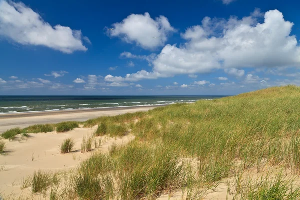 Písečné duny s přilbou trávy — Stock fotografie