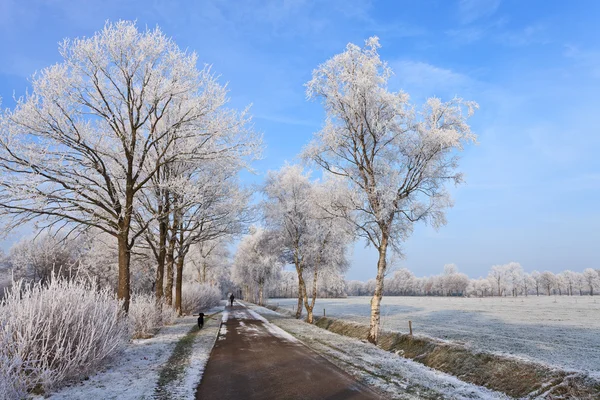 Маленькая дорога в белом зимнем пейзаже — стоковое фото
