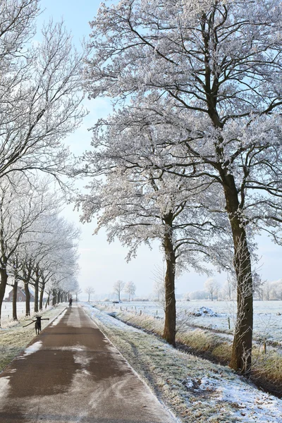Small road in a white winter landscape — Stock Photo, Image