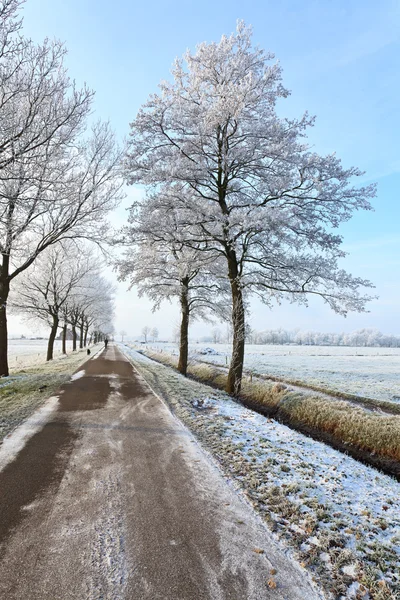 Drum mic într-un peisaj alb de iarnă — Fotografie, imagine de stoc