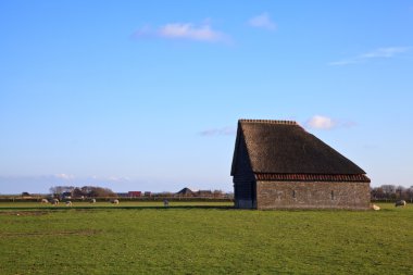 Monumental sheep barn on texel clipart