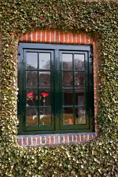 Detail of a brick wall with window — Stock Photo, Image