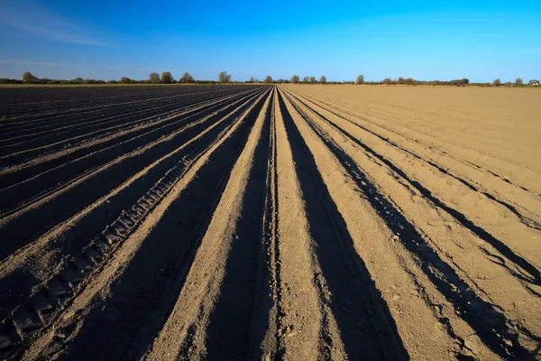 Cultivated potato field in spring time — Stock Photo, Image