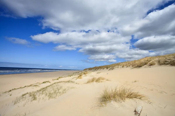Песчаные дюны у моря — стоковое фото
