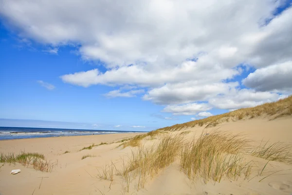 Dune di sabbia vicino al mare — Foto Stock