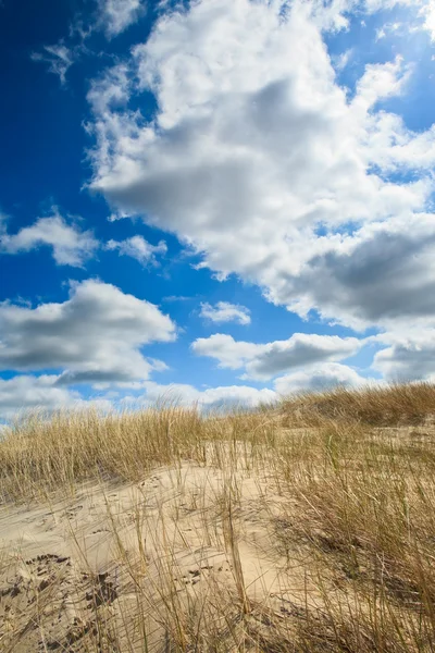 Dune di sabbia vicino al mare — Foto Stock