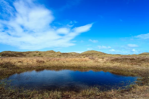 Puddle of water near the dunes — Stock Photo, Image