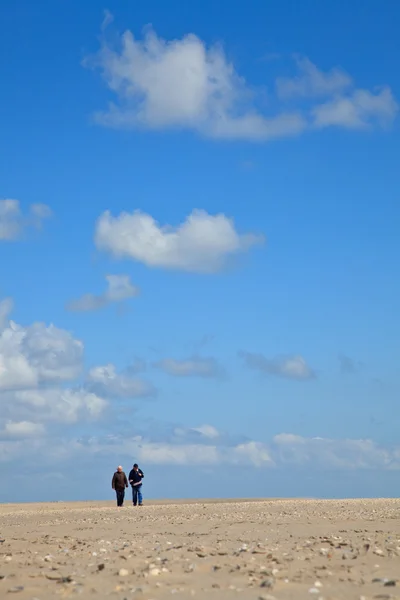 ビーチと海との明確な青空 — ストック写真