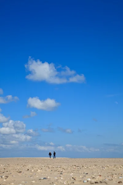 Een heldere blauwe hemel met strand en de Oceaan — Stockfoto