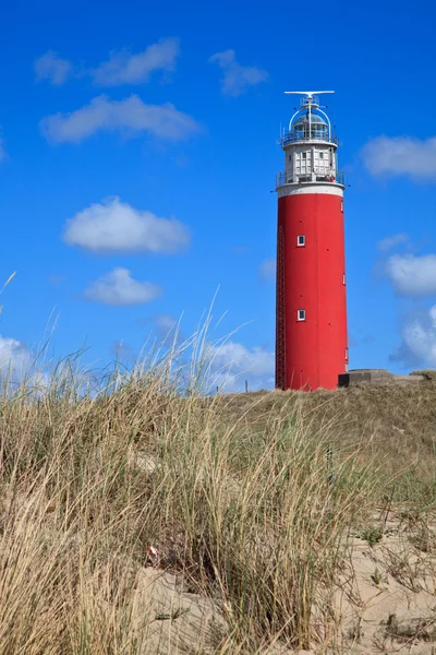 Lighthouse in the dunes at the beach — Stock Photo, Image