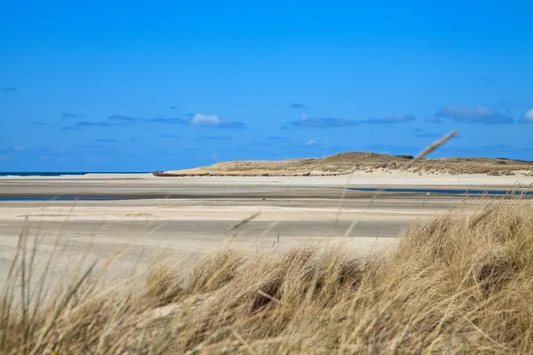 Písečné duny na pláži — Stock fotografie