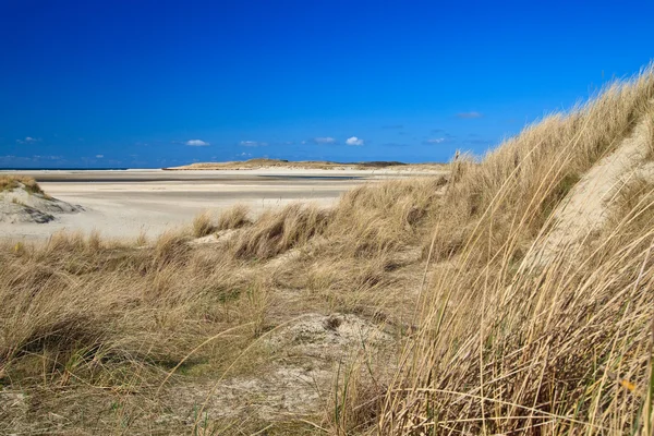 Písečné duny na pláži — Stock fotografie