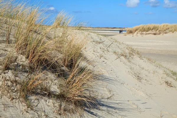 砂浜の砂丘は — ストック写真