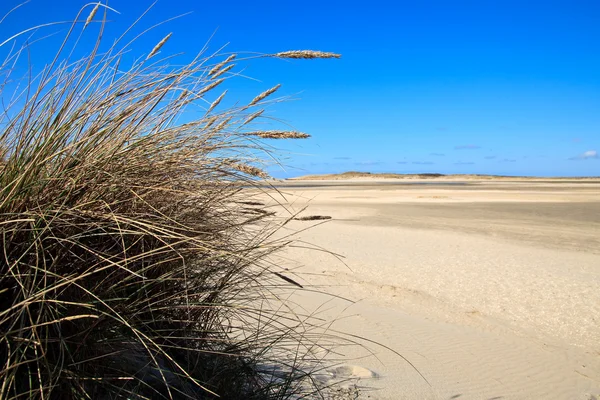 Dunas de areia na praia — Fotografia de Stock