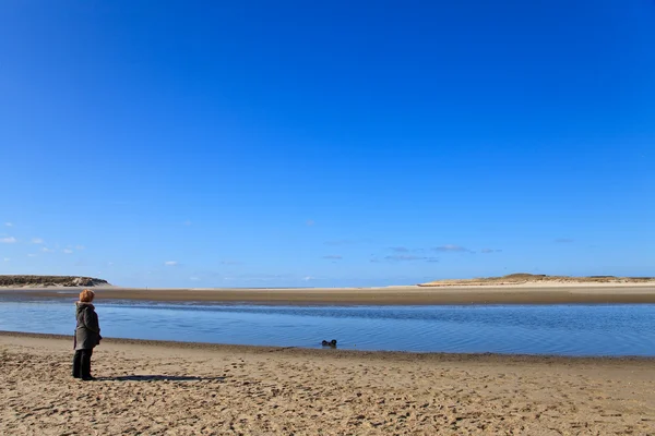 Kvinna promenerar hunden på stranden — Stockfoto