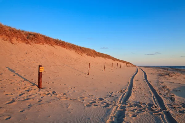 Kum tepeleri ile sahilde güzel gün batımı — Stok fotoğraf