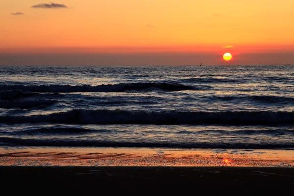Smuk solnedgang i havet - Stock-foto