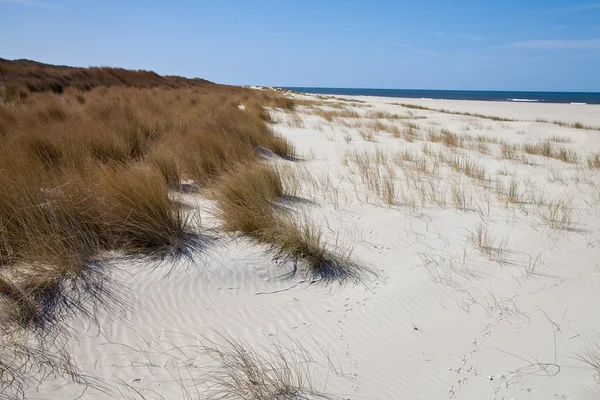 Sand dunes on the beach — Stock Photo, Image