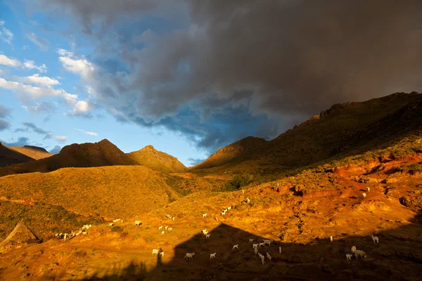 Горная долина освещена вечерним солнцем — стоковое фото
