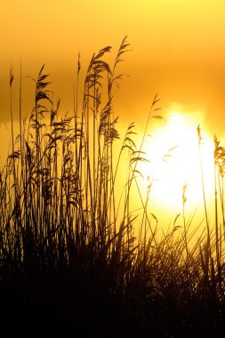 Sunrise çiğ bir Gölü ile