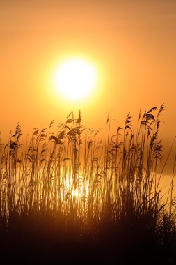 Sunrise çiğ bir Gölü ile