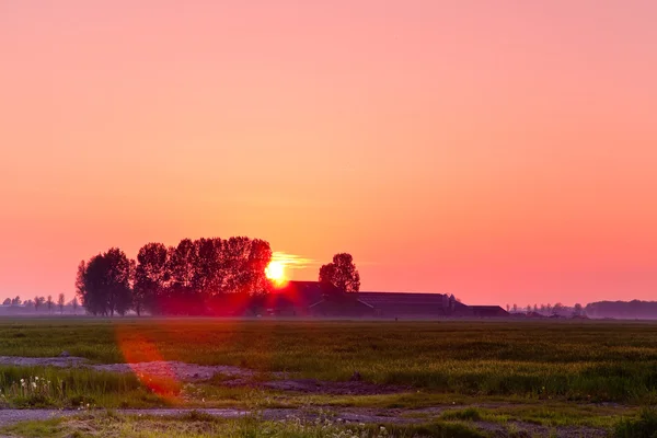 Sonnenuntergang auf dem Land — Stockfoto