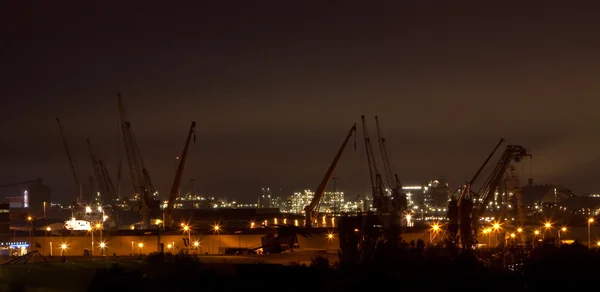 Vue des grues portuaires la nuit — Photo