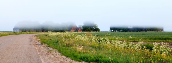 Mgła nad gruntów rolnych — Zdjęcie stockowe