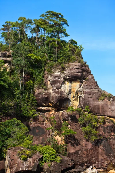 木と岩が多い山 — ストック写真