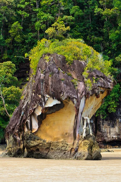 Sahilde Rock asılı — Stok fotoğraf