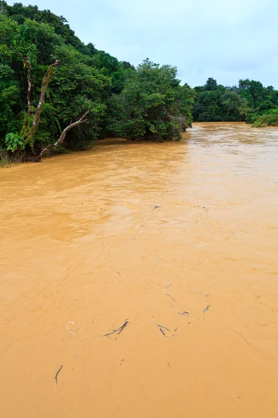 Bruin rivier in de jungle — Stockfoto