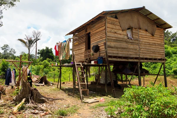 이반 부족의 긴 집 — 스톡 사진