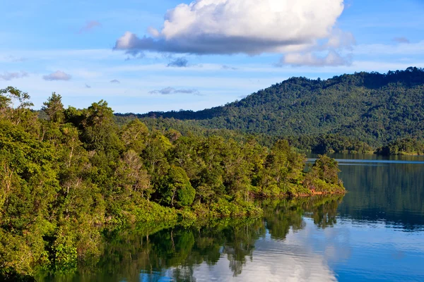 熱帯雨林を流れる川 — ストック写真