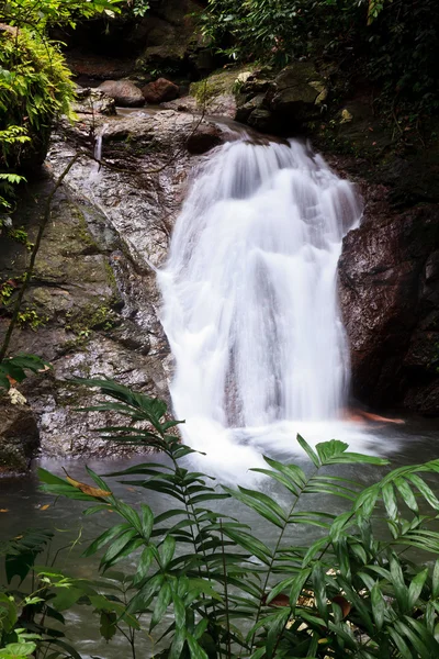 Водопад в тропическом лесу — стоковое фото