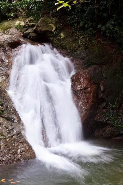 stock image Waterfall in a tropical forest