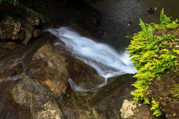 Водопад в тропическом лесу — стоковое фото