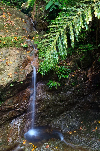 Waterval in een tropisch bos — Stockfoto