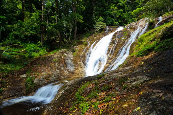 熱帯林の滝 — ストック写真