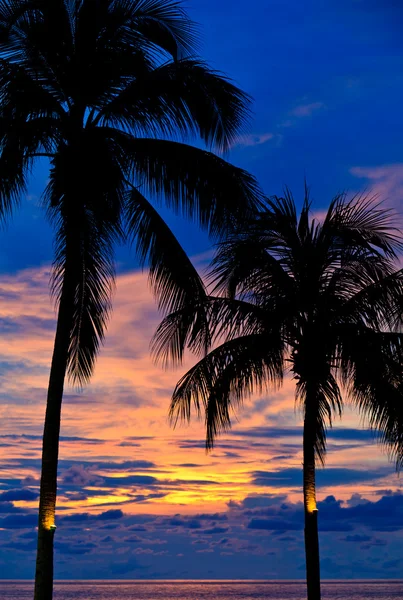 Coucher de soleil avec des palmiers à la plage — Photo