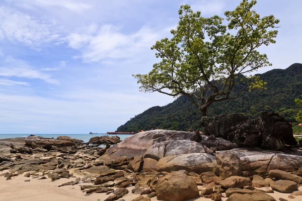 Spiaggia tropicale rocciosa con foresta pluviale — Foto Stock