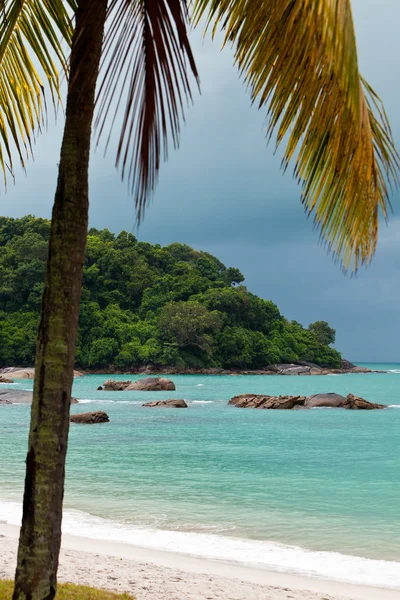 Tropische rotsachtige strand met regenwoud — Stockfoto