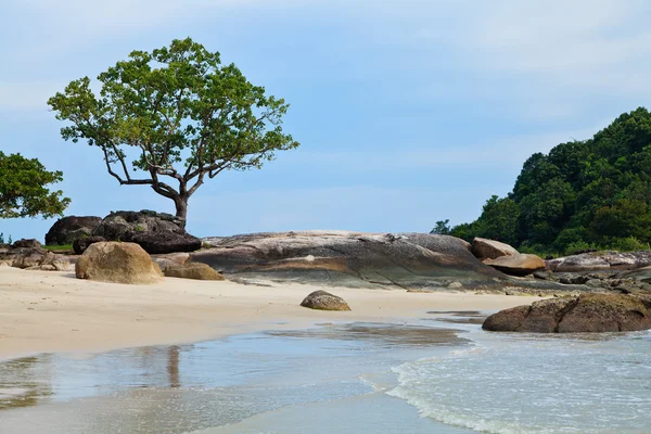 Praia rochosa tropical com floresta tropical — Fotografia de Stock