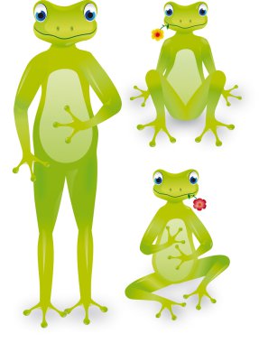 Frogs with flower, up, sat and in tailor clipart