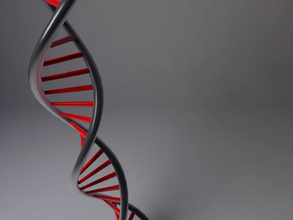 DNA'ın 3D modeli