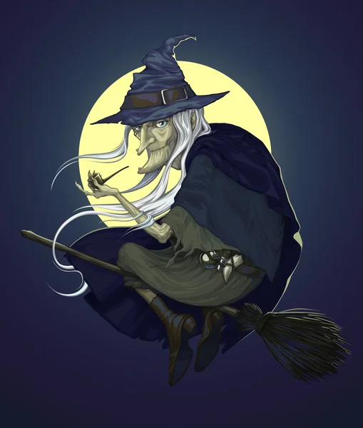 Halloween heks — Stockvector