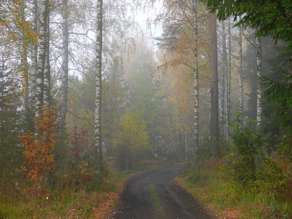 sonbahar yol