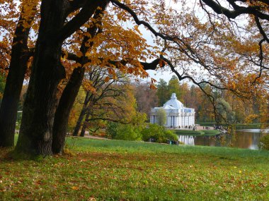 The oak alley