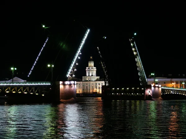 Saint Petersburg at night Royalty Free Stock Images
