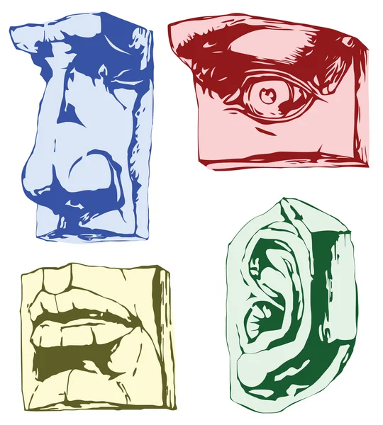 Teile des Gesichts — Stockvektor